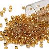 TOHO 6/0 Round Beads X-SEED-TR06-0022-1