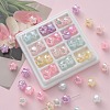 Transparent Crackle Acrylic Beads OACR-I013-01-1
