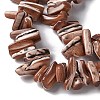 Dyed Natural Trochus Shell Beads Strands SSHEL-C013-09B-3