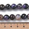 Natural Charoite Beads Strands G-C270-O03-08-5