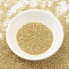 MIYUKI Delica Beads X-SEED-J020-DB0034-2