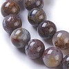 Natural Pietersite Beads Strands G-P428-06-8mm-3