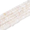 Natural Trochid Shell/Trochus Shell Beads Strands SSHEL-N040-21H-1