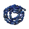 Natural Lapis Lazuli Beads Strands G-P597-B01-01-3