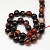 Natural Striped Agate/Banded Agate Beads Strands X-G-G581-10mm-14-2