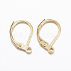 316L Surgical Stainless Steel Leverback Earring Findings X-STAS-E194-03G-1