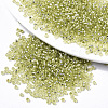 Glass Seed Beads X-SEED-S042-04A-02-1