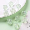 Transparent Acrylic Beads TACR-S154-31C-327-8