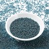 MIYUKI Round Rocailles Beads SEED-X0054-RR0305-2