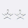 925 Sterling Silver Charms STER-I014-17S-3