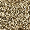 FGB 11/0 Grade A Glass Seed Beads SEED-S030-1207-2
