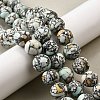 Synthetic Turquoise Beads Strands G-F791-D01-02A-1