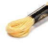 24 Skeins 24 Colors 6-Ply Polyester Embroidery Floss OCOR-K006-B01-3