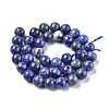 Natural Lapis Lazuli Beads Strands G-E483-17-10mm-6