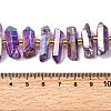 Electroplated Natural Quartz Crystal Beads Strands G-F800-F17-4