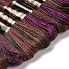10 Skeins 6-Ply Polyester Embroidery Floss OCOR-K006-A04-2