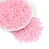 Glass Seed Beads SEED-T007-17G-1