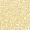 FGB Inside Colours Transparent Glass Seed Beads SEED-T009-01H-2