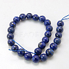 Natural Lapis Lazuli Beads Strands X-G-G087-16mm-2
