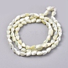 Electroplate Opaque Solid Color Glass Beads Strands X-EGLA-G035-B-FR10-2