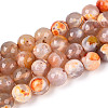 Dyed & Heated Natural Fire Crackle Agate Beads Strands G-N359-01B-10-2
