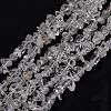 Natural Quartz Crystal Beads Strands G-G011-03-1