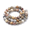 Natural Crazy Lace Agate Round Bead Strands X-G-E334-6mm-20-2