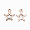 Ion Plating(IP) 304 Stainless Steel Charms X-STAS-H392-01RG-2