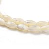 Natural Trochid Shell/Trochus Shell Beads Strands PBB513Y-3