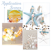Natural Shell & Starfish Resin Cabochons Decorations SHEL-AR0001-13-5