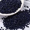 MIYUKI Round Rocailles Beads X-SEED-G008-RR4494-1
