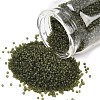 MIYUKI Delica Beads X-SEED-J020-DB2404-1