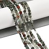 Natural Bloodstone Beads Strands G-H087-C05-01-2