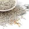 Electroplate Glass Seed Beads X-SEED-S042-01B-08-1