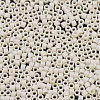 MIYUKI Delica Beads SEED-X0054-DB0883-3