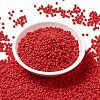 MIYUKI Round Rocailles Beads SEED-G008-RR0407-2