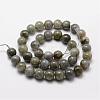 Natural Labradorite Bead Strands G-O155-05A-6mm-2
