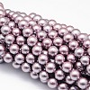 Shell Pearl Beads Strands BSHE-E008-8mm-01-1