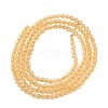 Transparent Glass Beads Strands GLAA-F094-A10-4
