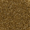 MIYUKI Delica Beads X-SEED-J020-DB0118-3