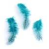 Chicken Feather Costume Accessories X-FIND-Q048-03-1