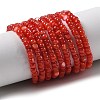 Natural Freshwater Shell Beads Strands SHEL-P017-01B-07-1