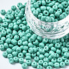 6/0 Glass Seed Beads SEED-S058-A-F439-1