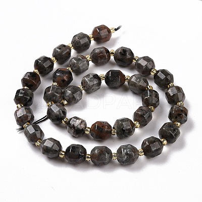 Natural Fluorescent Syenite Rock(Glow under UV Light) Beads Strands G-G990-F01-1
