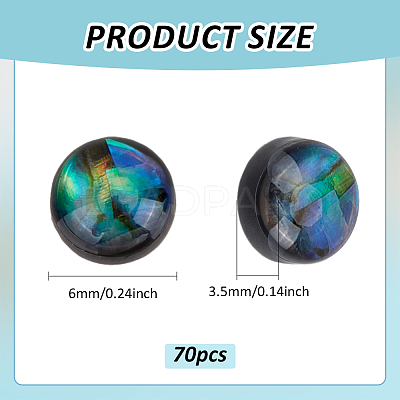 70Pcs Natural Paua Shell & Acrylic Cabochons SHEL-BC0001-047-1