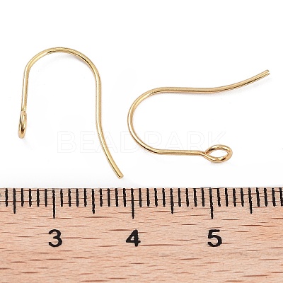 316 Surgical Stainless Steel Earring Hooks X-STAS-P162-13G-B01-1