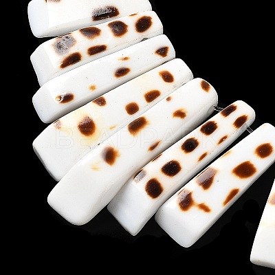 Rectangle Natural Conus Eburneus ShellGraduated Beads Strands SSHEL-P002-05A-1