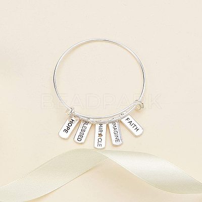 Tibetan Style Alloy Inspirational Message Pendants TIBEP-PH0003-02-RS-1