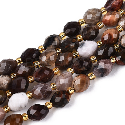Natural Petrified Wood Beads Strands G-N342-53-8x6-07-1