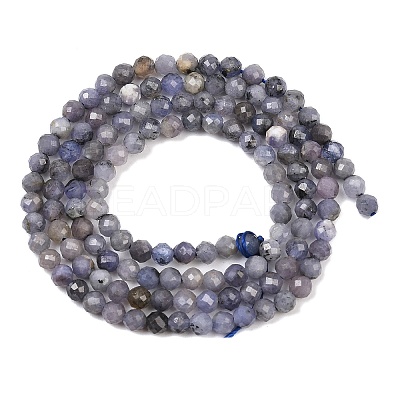 Natural Tanzanite Beads Strands G-C255-A01-3mm-1